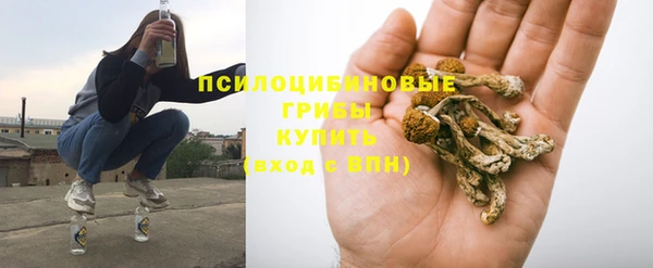 прущая мука Алзамай